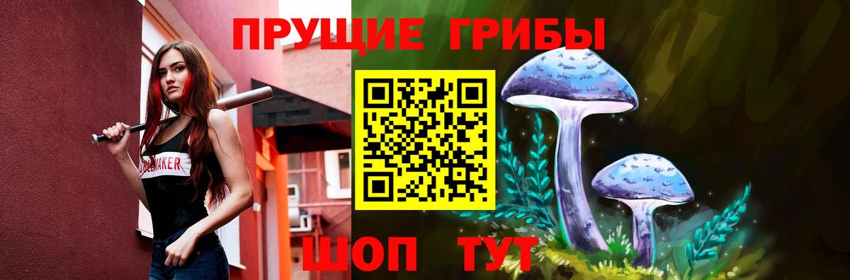 Псилоцибиновые грибы мухоморы Тавда