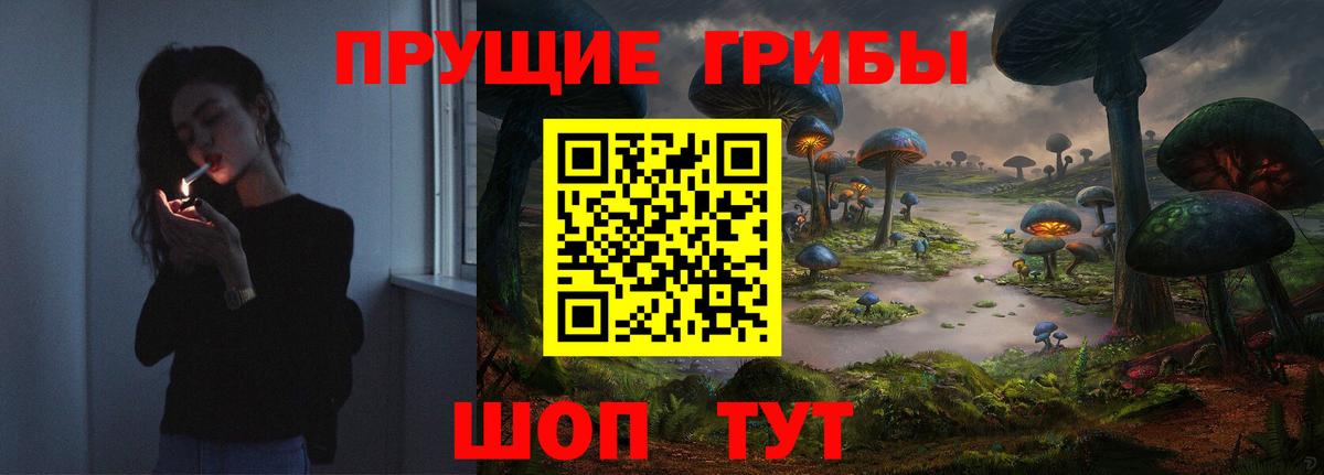 Псилоцибиновые грибы мицелий  Галлюциногенные грибы Psilocybe  как найти   Вход с VPN  Тавда 